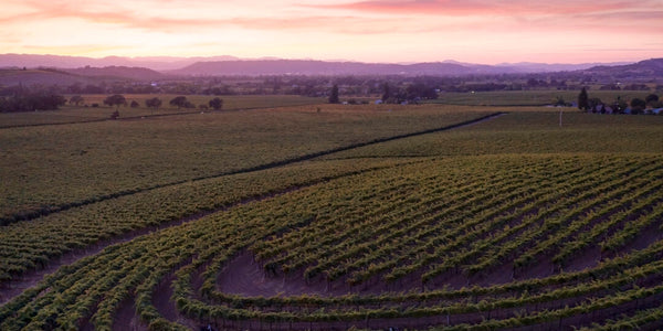 A Modern History of The Alexander Valley
