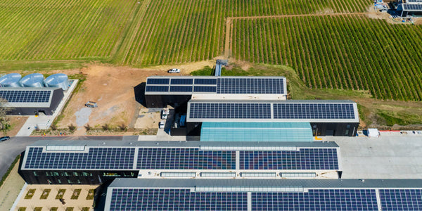 5 Ways Our Living Building Challenge Certification Benefits You and the Environment