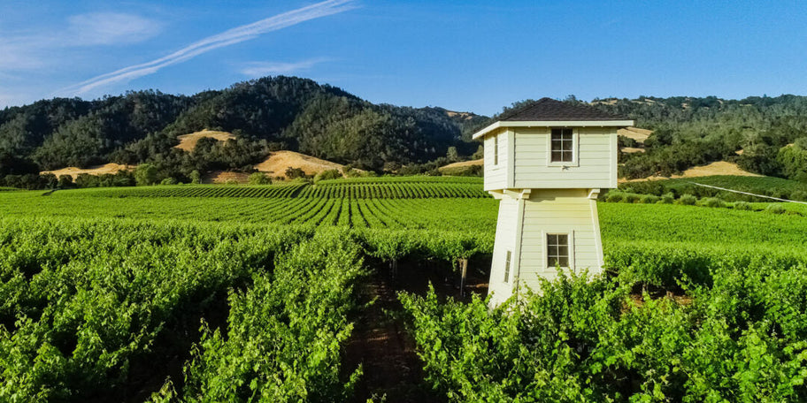 The Silver Oak tower at Miraval Vineyard in Alexander Valley