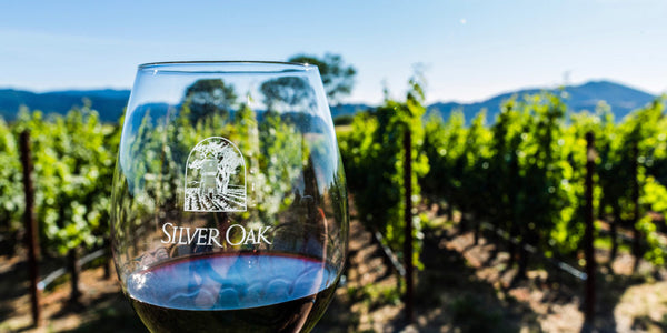 The Significance of Wine in This Mother-Daughter Relationship Is Heartwarming
