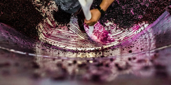 What Happens When Harvest Season Is Over?