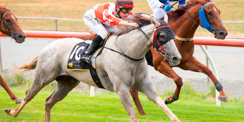 A horse named Silver Oak