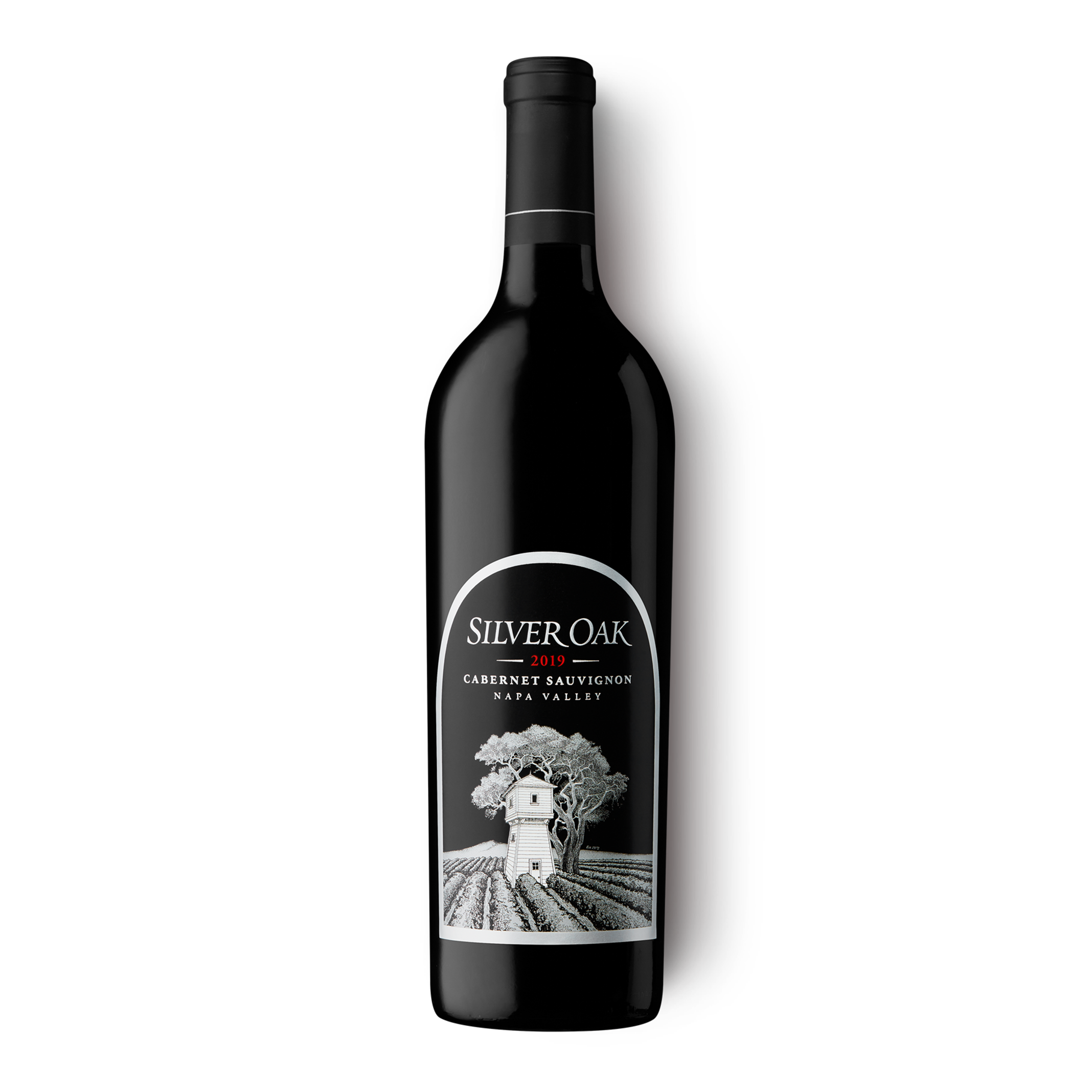 2019 Napa Valley Cabernet Sauvignon Wine Bottle
