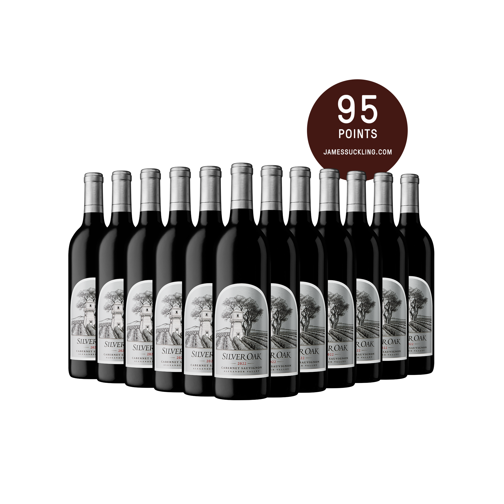 2022 Alexander Valley Cabernet Sauvignon 12-Bottle Collection | 95 Points JamesSuckling.com