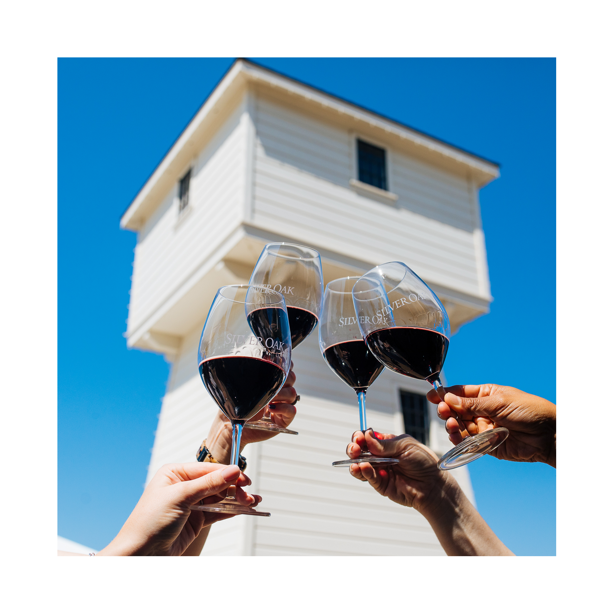 Napa Valley Release Day Ticket: Morning Session - Oak Society