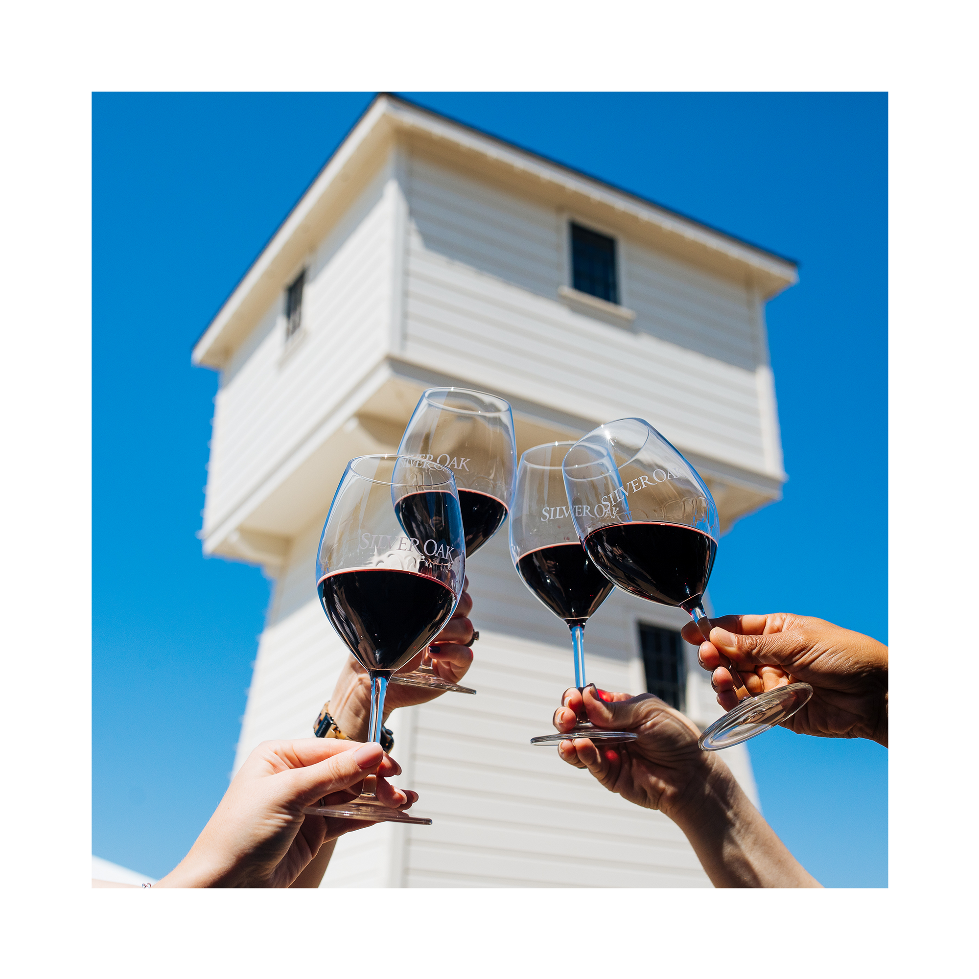 Napa Valley Release Day Ticket: Morning Session - Oak Society