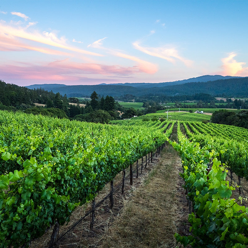Twomey 2019 Bearman Bend Vineyard Pinot Noir
