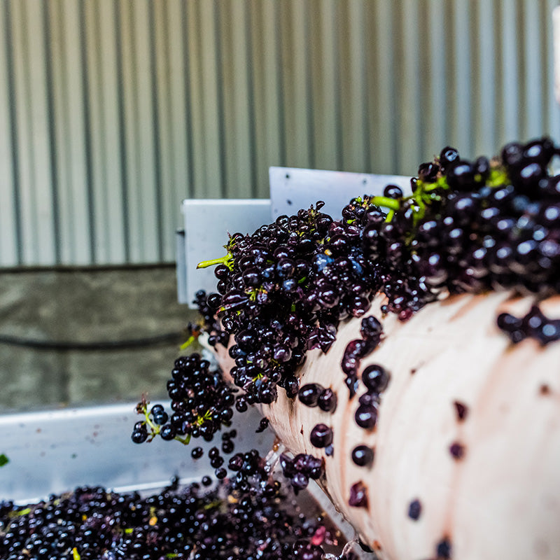 Twomey 2019 Soberanes Vineyard Pinot Noir