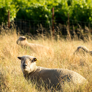 Twomey 2019 Bearman Bend Vineyard Pinot Noir