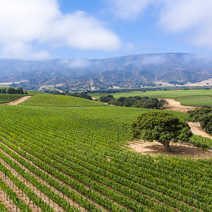 Twomey 2019 Soberanes Vineyard Pinot Noir