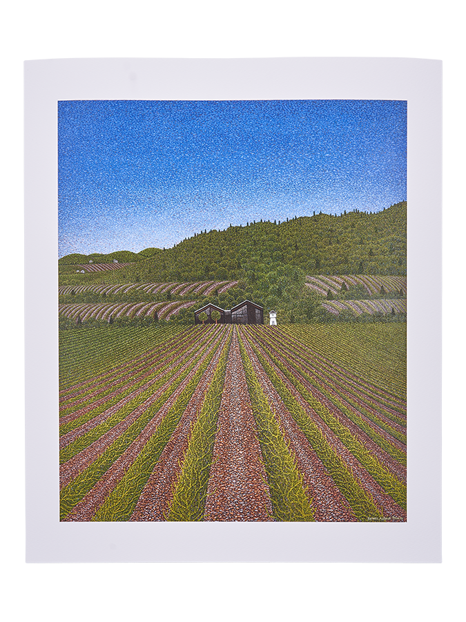 Father Poulin Print “Abundance of Creation”