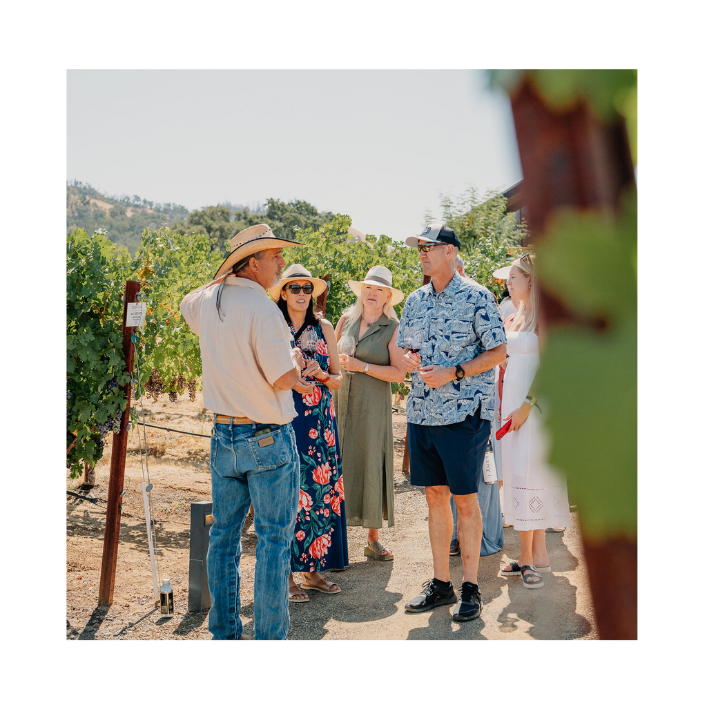 Group of people standing in a vineyard with a guide, surrounded by grapevines.