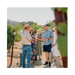 Group of people standing in a vineyard with a guide, surrounded by grapevines.