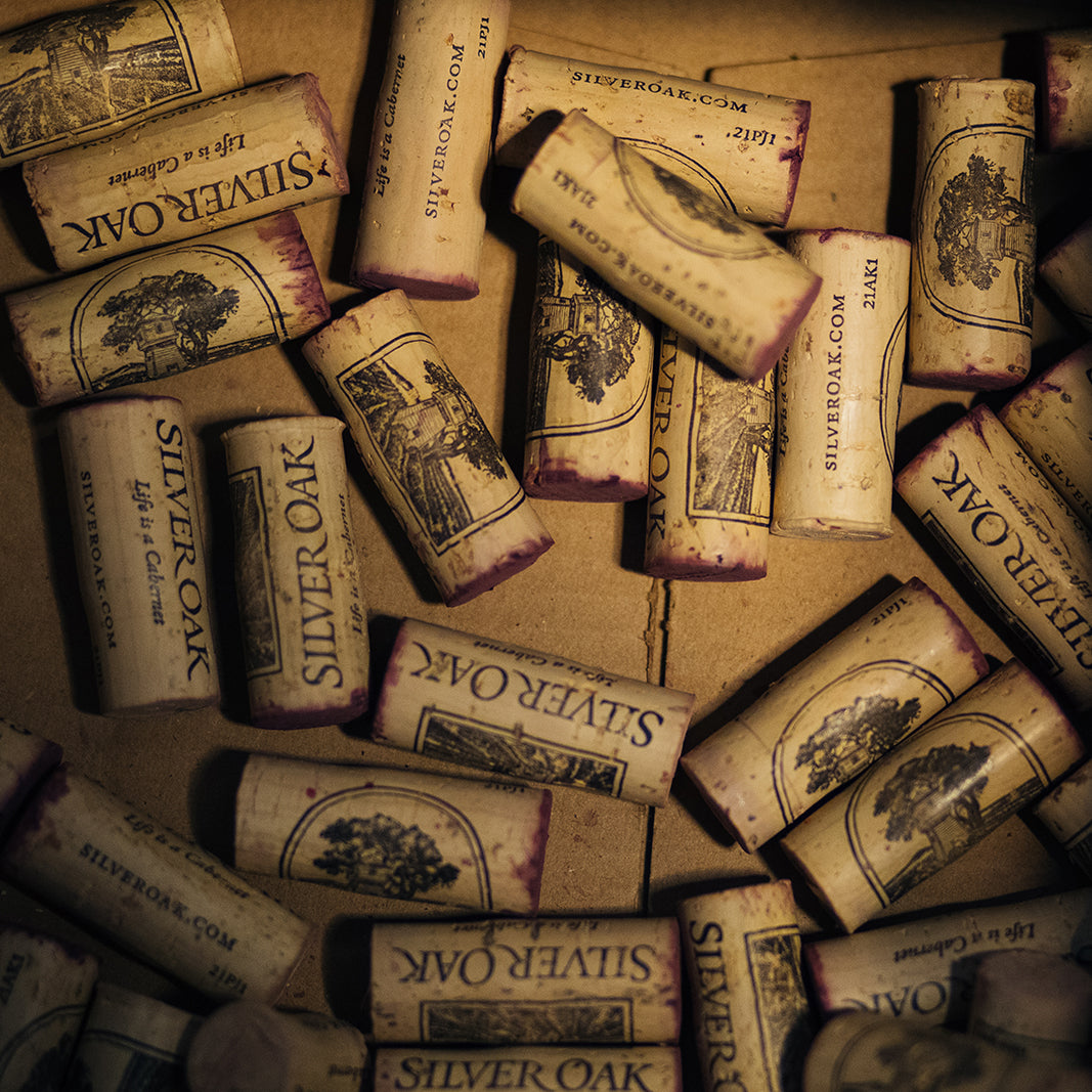 2021 Alexander Valley Cabernet Sauvignon 6L – Silver Oak Cellars