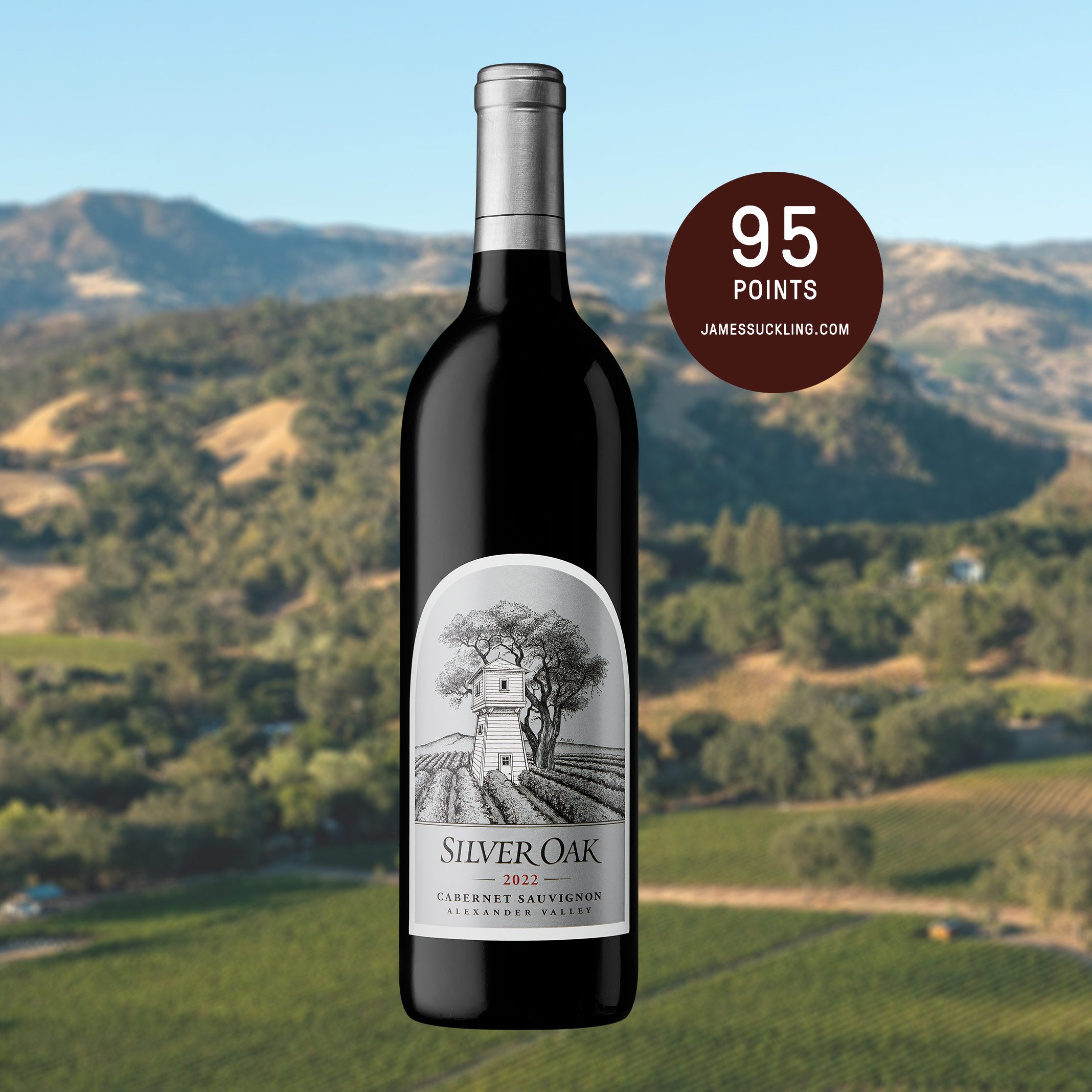 2022 Alexander Valley Cabernet Sauvignon | 95 Points JamesSuckling.com