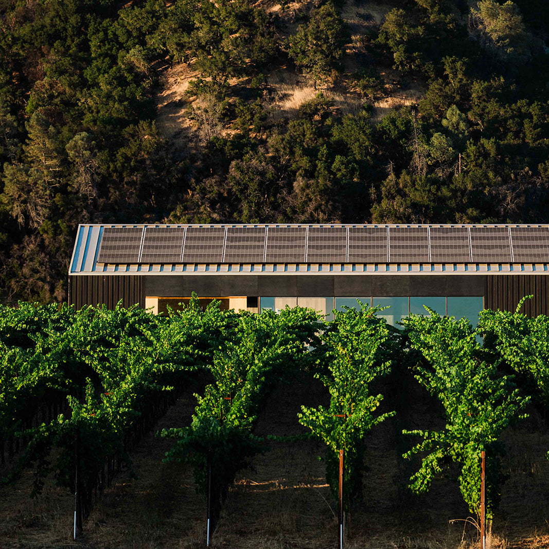 2021 Alexander Valley Cabernet Sauvignon 6L – Silver Oak Cellars