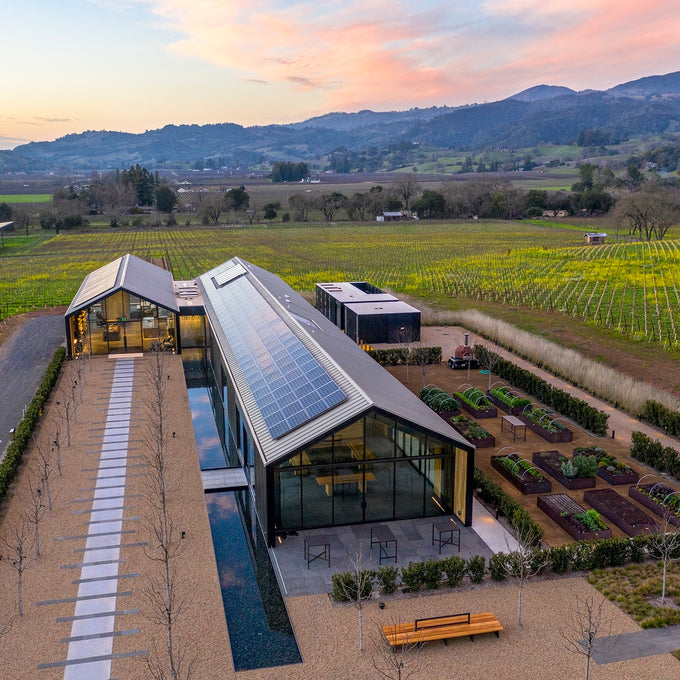 Winemaking – Silver Oak Cellars