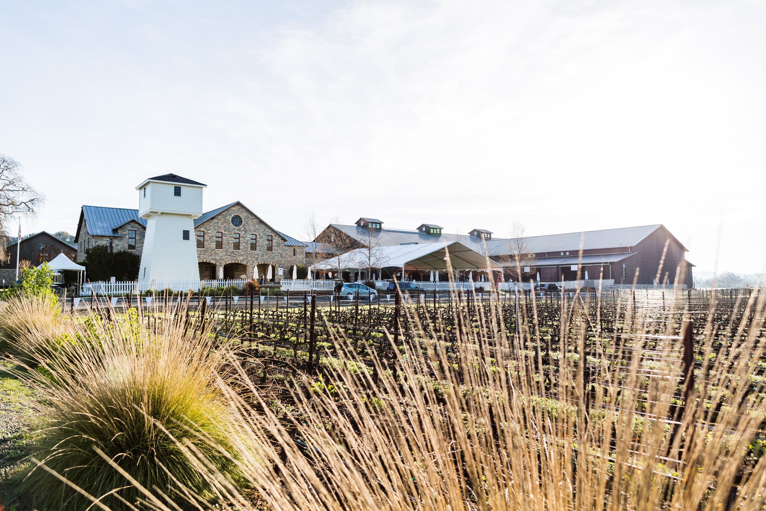 A video about the origin and history of Silver Oak Release Day