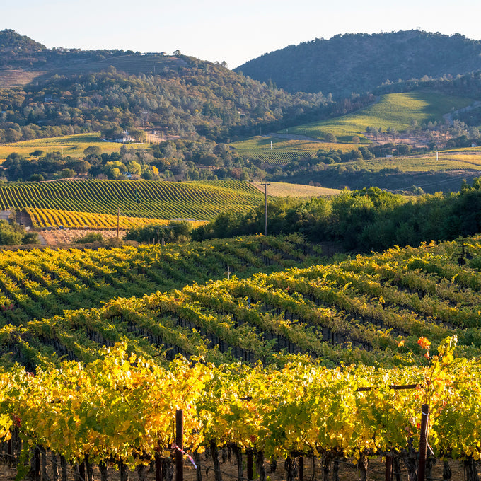 Vineyards – Silver Oak Cellars