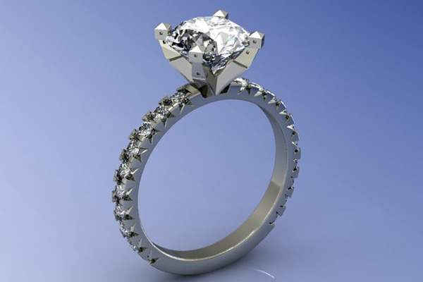 Sarah and Eric's Silver Oak ring